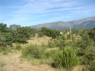 Finca Condesa 9