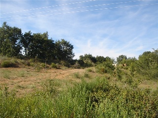 Finca Condesa 20