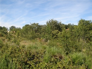 Finca Condesa 21