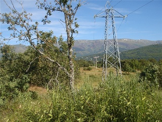 Finca Condesa 8
