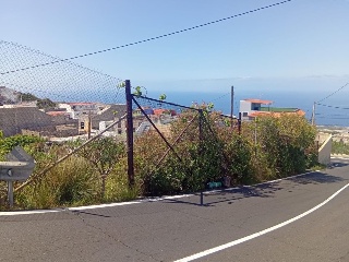 Higueritas (Las) 7