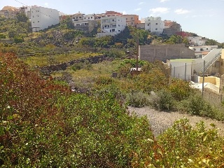 Higueritas (Las) 8