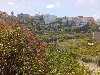 Higueritas (Las) 10