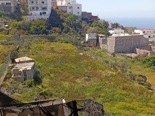 Higueritas (Las) 11