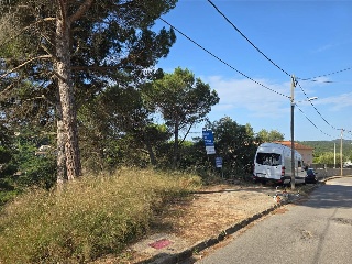 Senyera 5