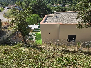 Senyera 7