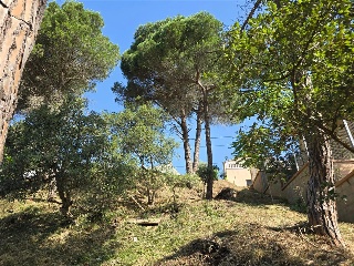 Senyera 12