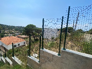 Senyera 23