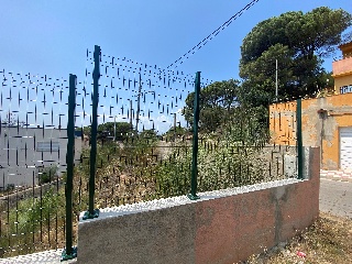 Senyera 24
