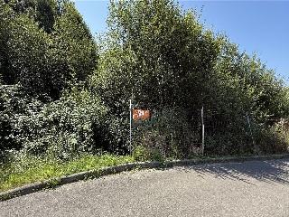 PARAJE MONTE DEL REY Y EL BURCO -POLIGONO 11, PARC. 14