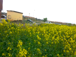 JACINTO BENAVENTE 17