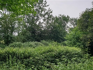 178. Parcela 17