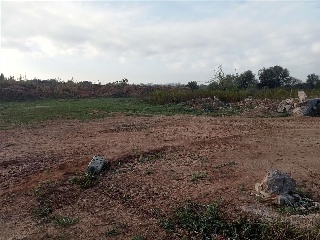 Pp S Gregori Cl H1A 13