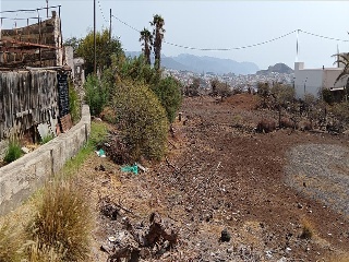Los Desamparados 14