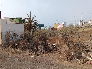 Los Desamparados 22