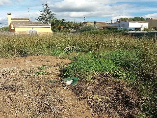 Suelo urbano consolidado en C/ Oliveres 8