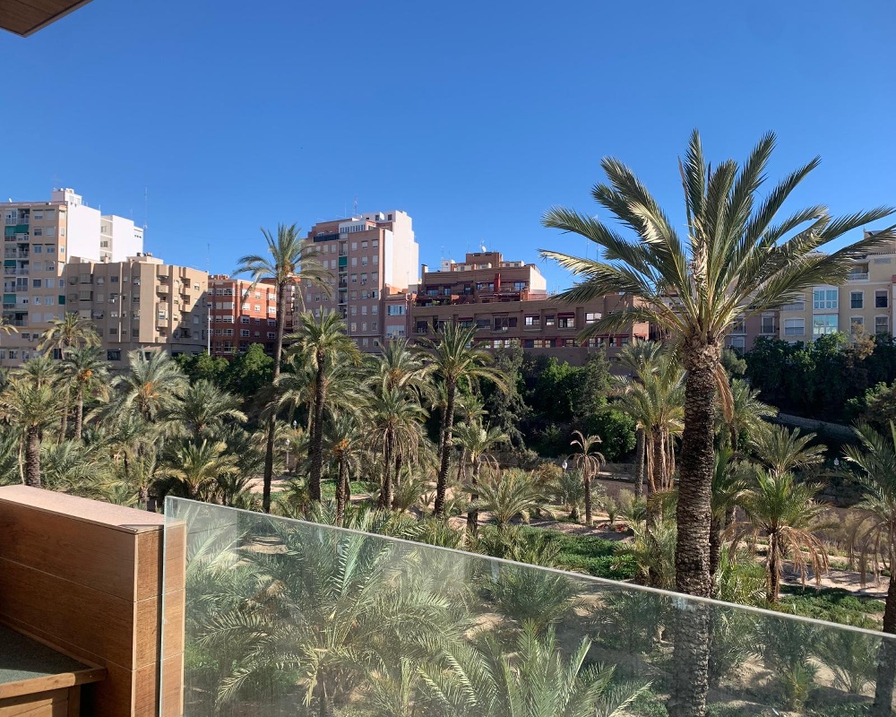 Inmueble situado en Elche