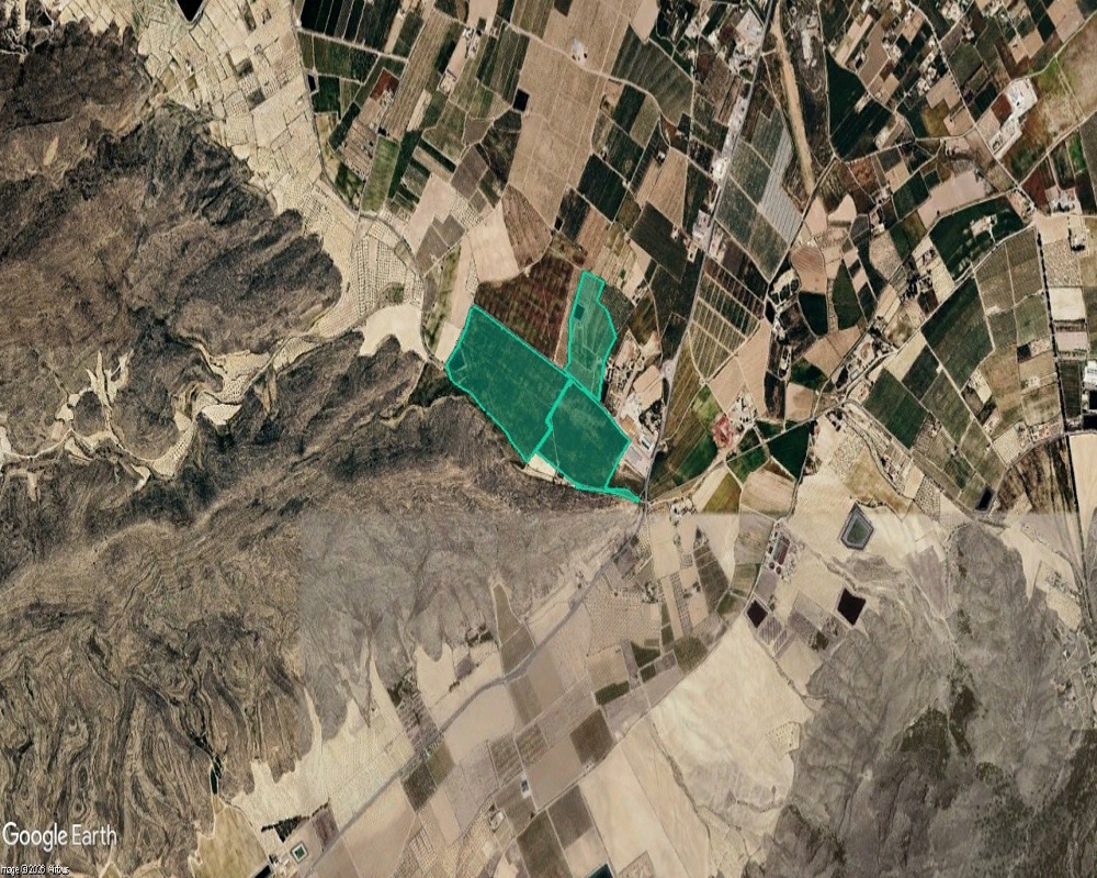 Suelo rústico en Paraje Alberceales, Jumilla (Murcia)