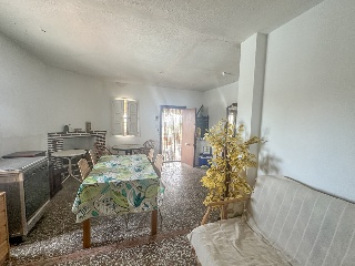 Terreno con vivienda 6
