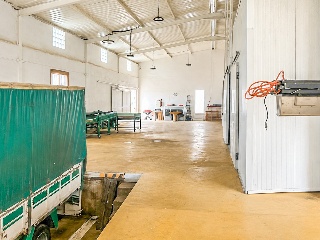 Nave Industrial en Orihuela 4