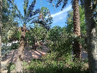 Dúplex en Lorca 3