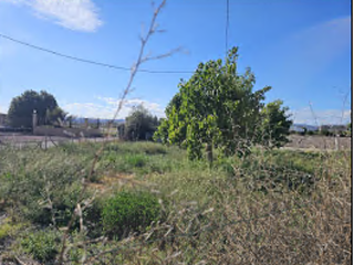 Finca rústica con edificación en C/ Escuelas - Puerto Lumbreras - 6
