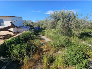 Finca rústica con edificación en C/ Escuelas - Puerto Lumbreras - 7