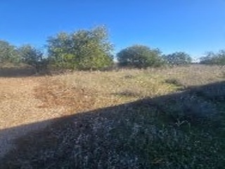 Suelo rústico en Paraje Corverica de la diputacion de Escobar 6