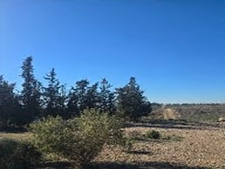 Suelo rústico en Paraje Corverica de la diputacion de Escobar 10