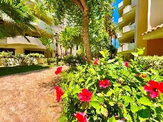 Apartamento con garaje en Torrevieja 3