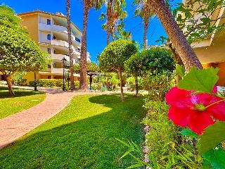 Apartamento con garaje en Torrevieja 41