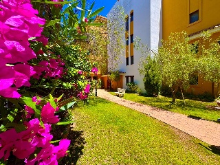 Apartamento con garaje en Torrevieja 43