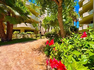 Apartamento con garaje en Torrevieja 45