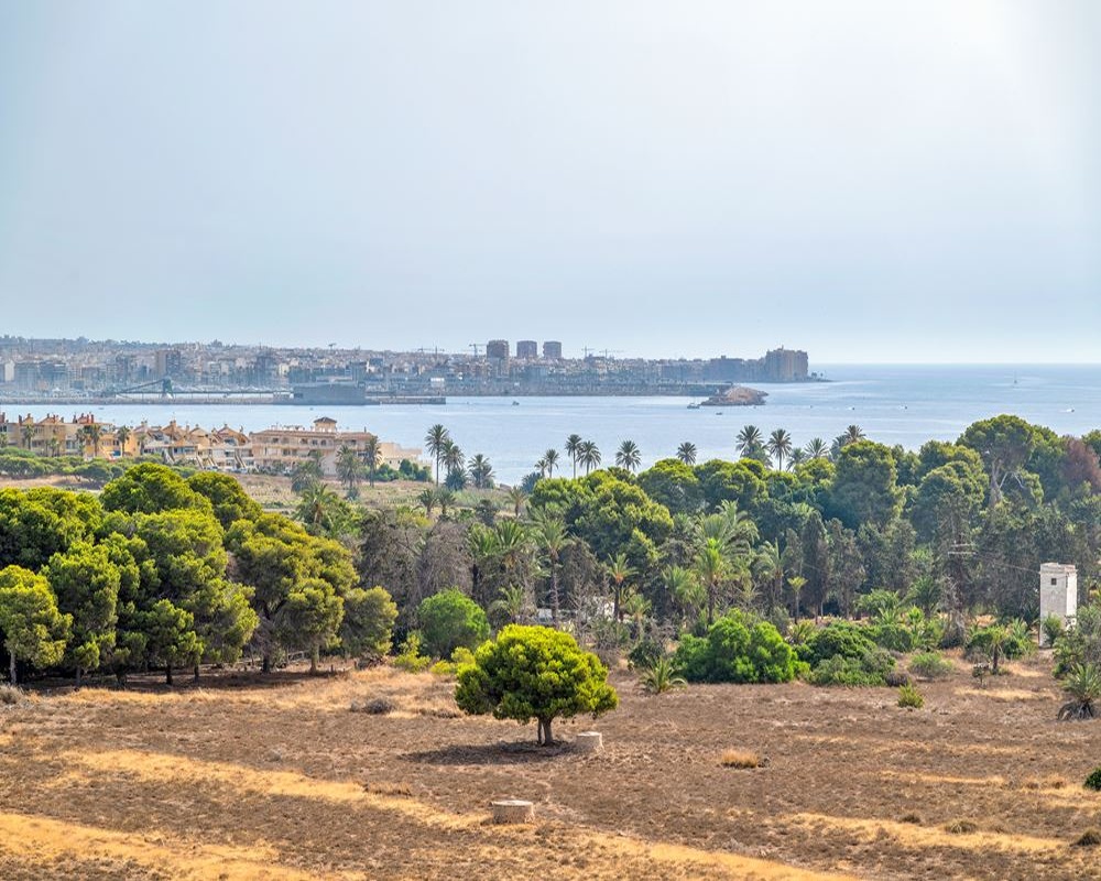Ático en Torrevieja