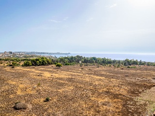 Ático en Torrevieja 32