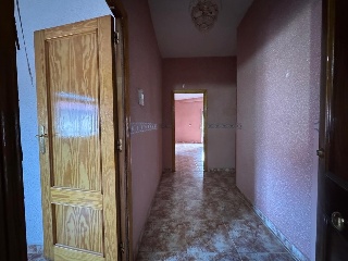Noria 36