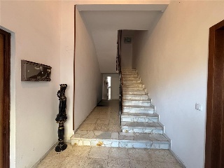 Noria 37