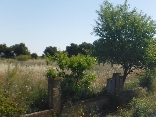 Urà 11