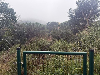Can Massuet 9