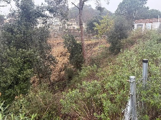 Can Massuet 12