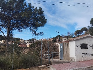 Can Massuet 17