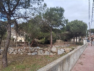 Can Massuet 18