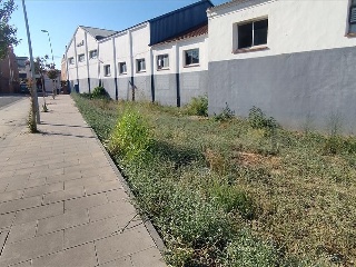 Benito Coll 19