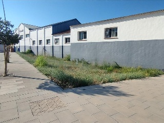 Benito Coll 20