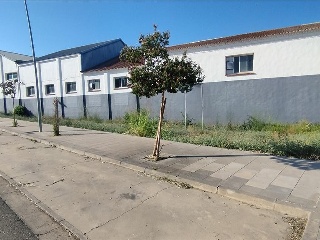 Benito Coll 21