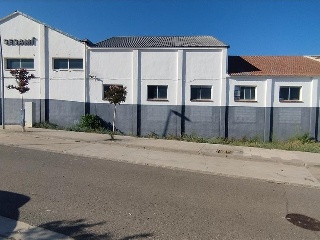 Benito Coll 23