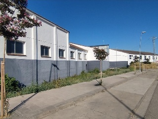 Benito Coll 24