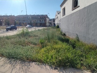Benito Coll 27
