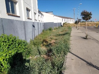 Benito Coll 28