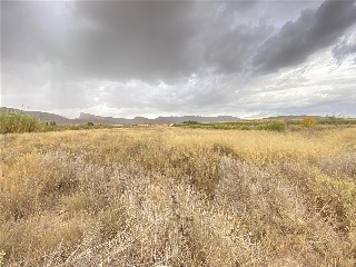 La Jimena -Casa Tosquilla 4